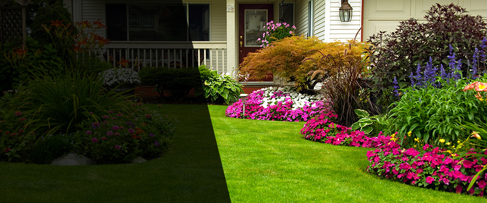 Cornelia Landscapers