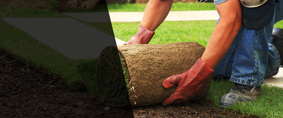 Cornelia Landscapers